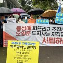 제주특별자치도청 Daum카페