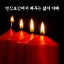 심*보 - 가평군 청평중앙로 | 심*보