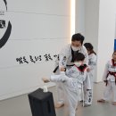 동탄 청림태권도장 이미지