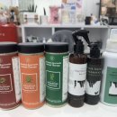 멍멍하개 이미지