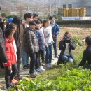 석송초등학교 이미지