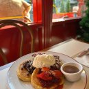 꽃보다예쁘개 이미지