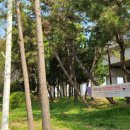 한울공원 관광휴게동 이미지