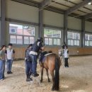 단양소백산중학교 이미지