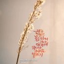 온글지킴이필소굿