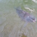 여주낚시터 이미지