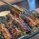 칠암바다장어 이미지