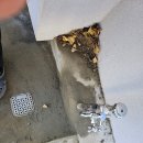 간성파출소 이미지