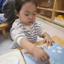 리틀베베 이미지