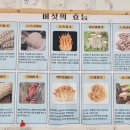 2행운농장 이미지