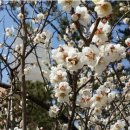 산양삼마을민박 이미지