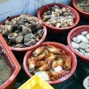 청성초교 이미지