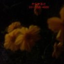 거성빌딩(거성프라자) 이미지