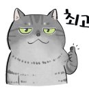 조은스팀세차 이미지