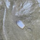 마검포항 이미지