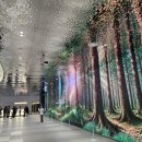 포레스트파이낸셜 파이낸셜뉴스