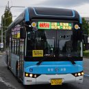 대동백화점(토월성원아파트방면) 이미지