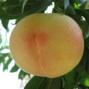 감곡농장 이미지