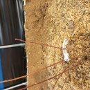 상서농장 이미지