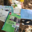제주 납읍리 난대림 | 제주곶자왈추천 곶자왈청년서포터즈 선흘 동백동산 다녀온 후기