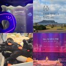 지에스25 팔탄가재점 | 제주도 실내 관광지 추천 제주 아쿠아플라넷