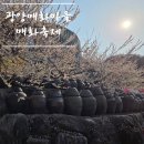 물방울어린이공원 | 광양 매화마을 지금 가도 될까 매화 축제 개화 상황 솔직 후기