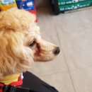 메이 동물병원 이미지