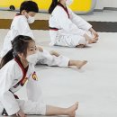 용인대범호태권도장 이미지