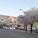 대구 동구 마사지 동촌유원지마사지잘하는곳 [수연테라피]