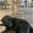 라운드앤드 망원점 이미지