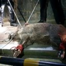 완월동112 이미지