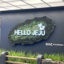 리플로우 | 겨울 제주 워케이션 | SBA 지원으로 떠난 2박 3일 (리플로우 제주, 뚜벅이)