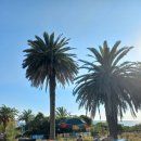 색달동-24 이미지