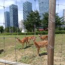 도시건축공인중개사사무소 이미지