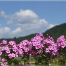 남진농장 이미지