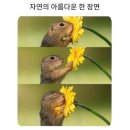 권혜민