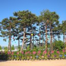 한강시민공원(자연학습장) 이미지