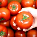 근남농협 이미지