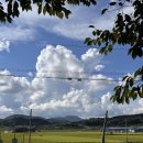 갓골 게스트하우스 이미지