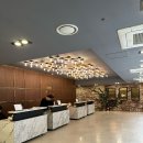 청학농장 | [결혼 준비💒] 로프트가든344 투어 후기 / 나에게 딱 맞는 밝은 홀 예식장 찾기 대작전!_(3)