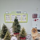 트리올리 이미지