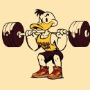 옐로우 짐 이미지