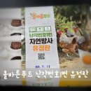 자연방사유정란 난각번호1번 올바른푸드 구매 후기(ft. 계란요리)