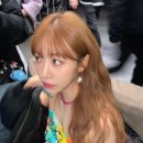 트루헤어