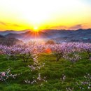 선택