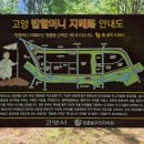 덕수부동산공인중개사사무소 이미지