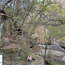 구봉산장문수점 | 산은 세속을 여의지 않으나 세속이 산을 여의니 법이 이곳에 머물다 ⑧ 속리산과 암자들