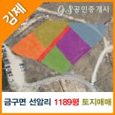 금구공인중개사사무소 이미지