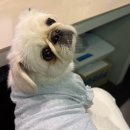 QED골프연습장 스타골프 이미지