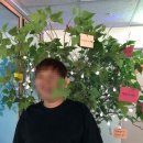 평생교육 배달강좌 1기-영화치료 | 11월 3주 마음편한병원 일상